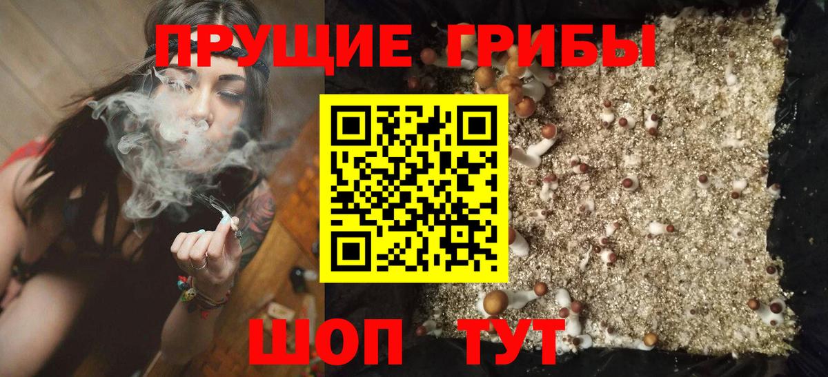 Галлюциногенные грибы GOLDEN TEACHER  Псилоцибиновые грибы Psilocybe  Темрюк  Вход с VPN 